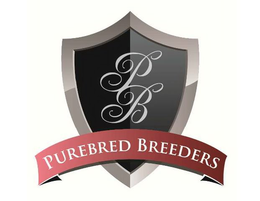 PB PUREBRED BREEDERS trademark