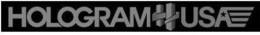 HOLOGRAM H USA trademark