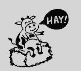 HAY! trademark