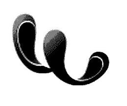 W trademark