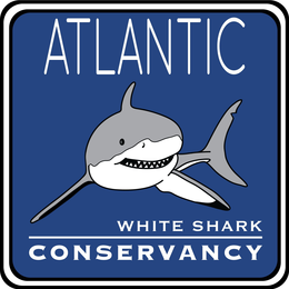 ATLANTIC WHITE SHARK CONSERVANCY trademark