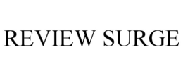 REVIEW SURGE trademark