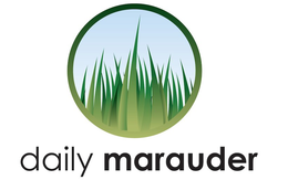 DAILY MARAUDER trademark