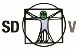 SD V trademark