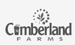 CUMBERLAND FARMS trademark