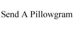 SEND A PILLOWGRAM trademark