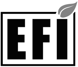 EFI trademark