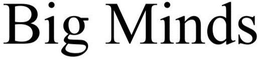 BIG MINDS trademark