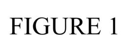 FIGURE 1 trademark