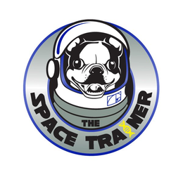 THE SPACE TRAINER trademark