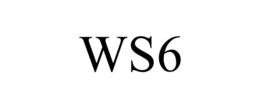 WS6 trademark