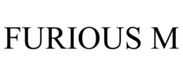 FURIOUS M trademark