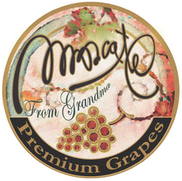 MUSCATEL FROM GRANDMA PREMIUM GRAPES trademark