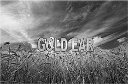 GOLD EAR trademark