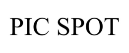 PIC SPOT trademark