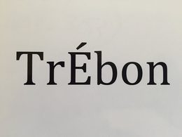 TREBON trademark
