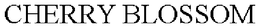 CHERRY BLOSSOM trademark