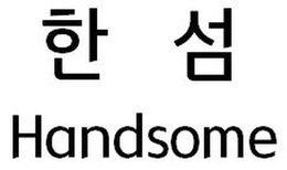 HANDSOME trademark