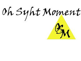 OH SYHT MOMENT OSM trademark