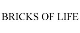 BRICKS OF LIFE trademark