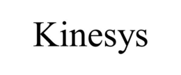 KINESYS trademark