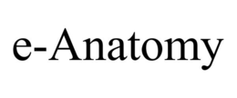 E-ANATOMY trademark