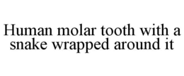 HUMAN MOLAR TOOTH WITH A SNAKE WRAPPED AROUND IT trademark