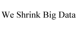WE SHRINK BIG DATA trademark