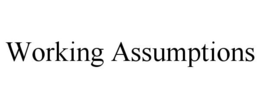 WORKING ASSUMPTIONS trademark
