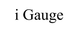 I GAUGE trademark