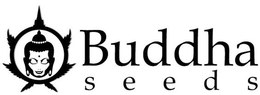 BUDDHA SEEDS trademark