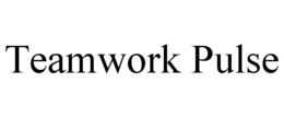 TEAMWORK PULSE trademark