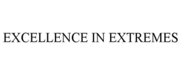 EXCELLENCE IN EXTREMES trademark