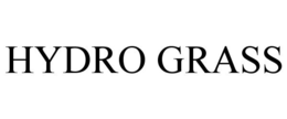 HYDRO GRASS trademark