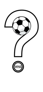 WHY NOT SOCCER WNS trademark