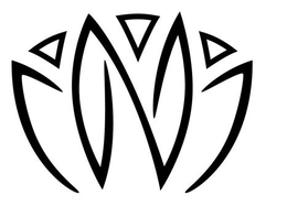 N trademark