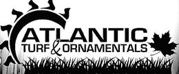 ATLANTIC TURF & ORNAMENTALS trademark