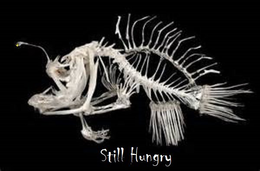 STILL HUNGRY trademark