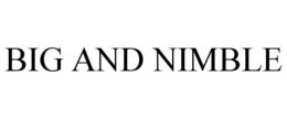BIG AND NIMBLE trademark