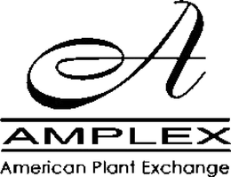 A AMPLEX AMERICAN PLANT EXCHANGE trademark