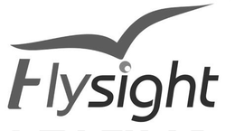 FLYSIGHT trademark