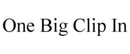 ONE BIG CLIP IN trademark