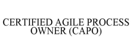 CERTIFIED AGILE PROCESS OWNER (CAPO) trademark