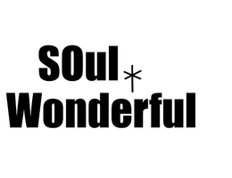 SOUL WONDERFUL trademark