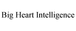 BIG HEART INTELLIGENCE trademark