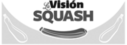 LA VISIÓN SQUASH trademark
