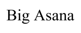 BIG ASANA trademark