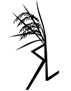 RL trademark