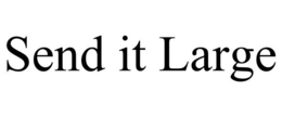 SEND IT LARGE trademark