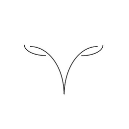 MYT trademark